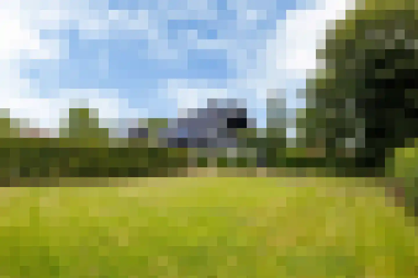 Bovenweg 3 Donkerbroek thumbnail 88