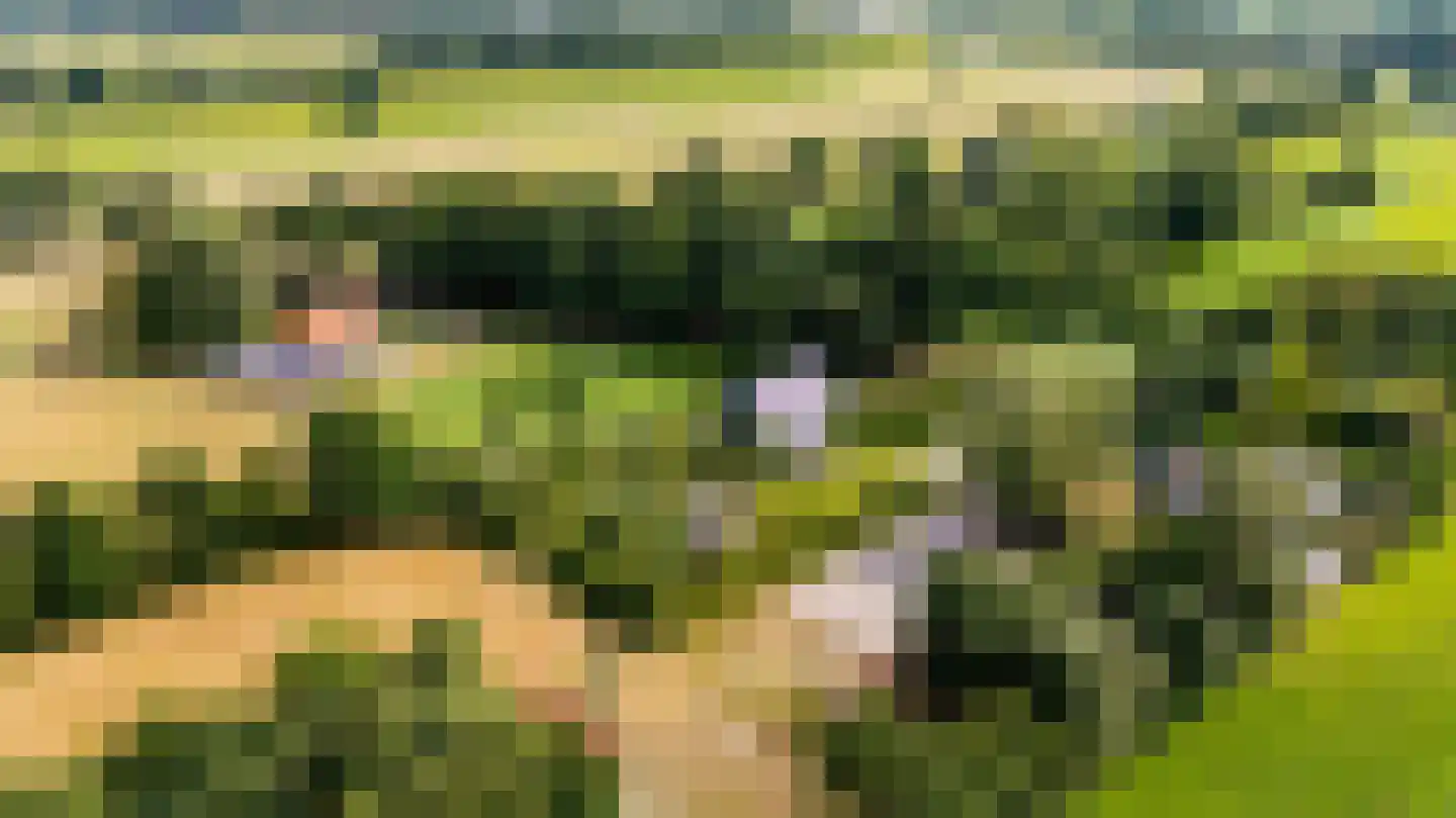 Bovenweg 3 Donkerbroek thumbnail 9