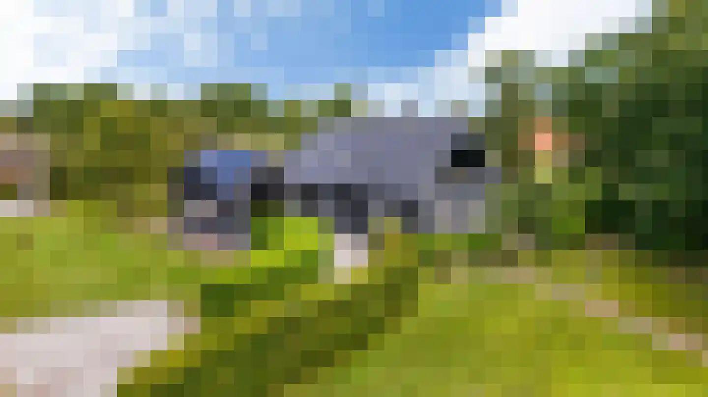 Bovenweg 3 Donkerbroek thumbnail 90
