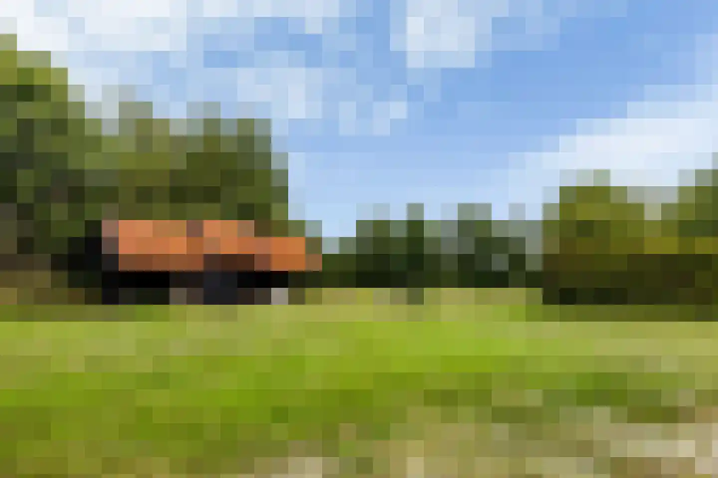 Bovenweg 3 Donkerbroek thumbnail 91
