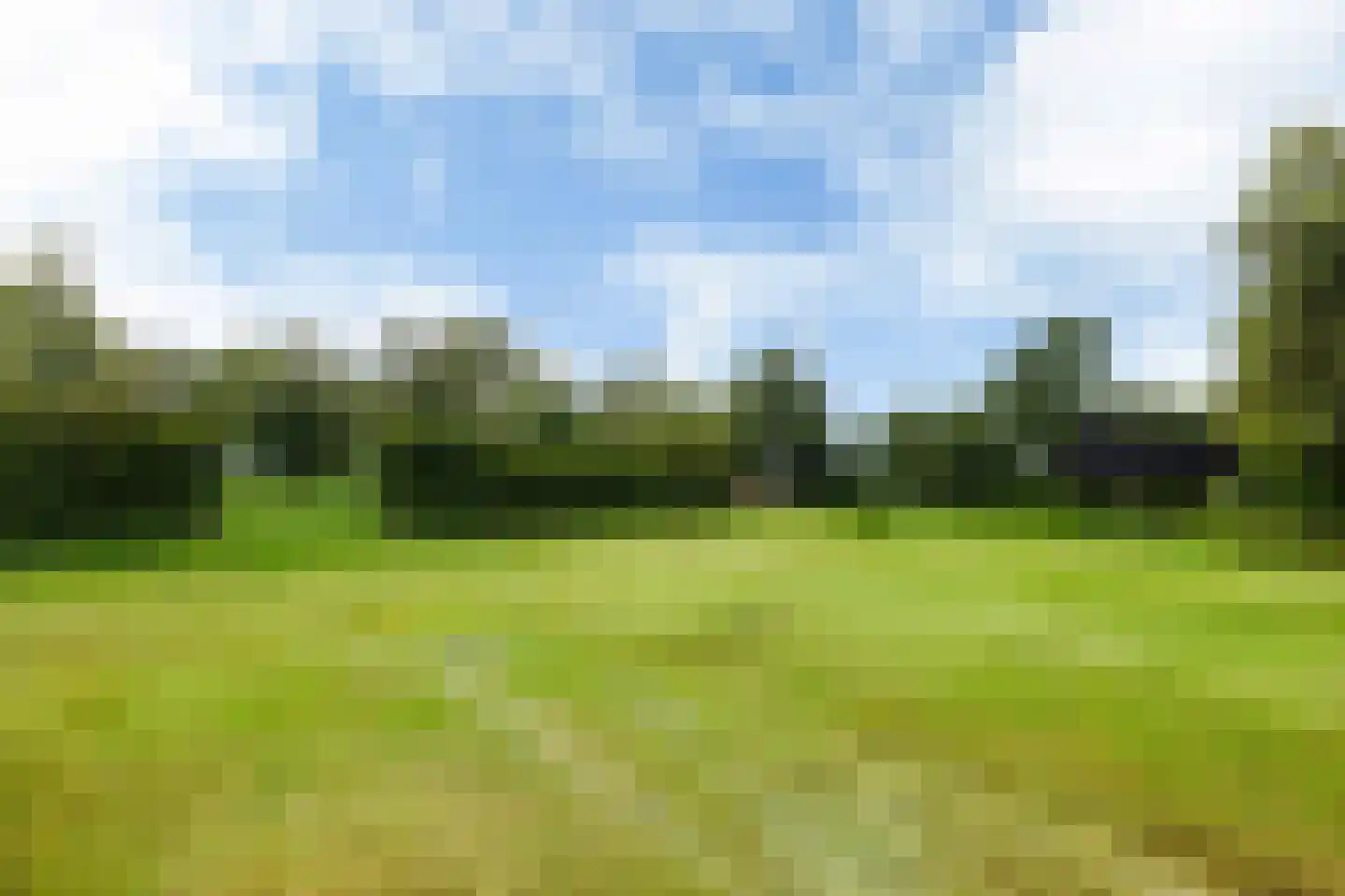 Bovenweg 3 Donkerbroek thumbnail 92