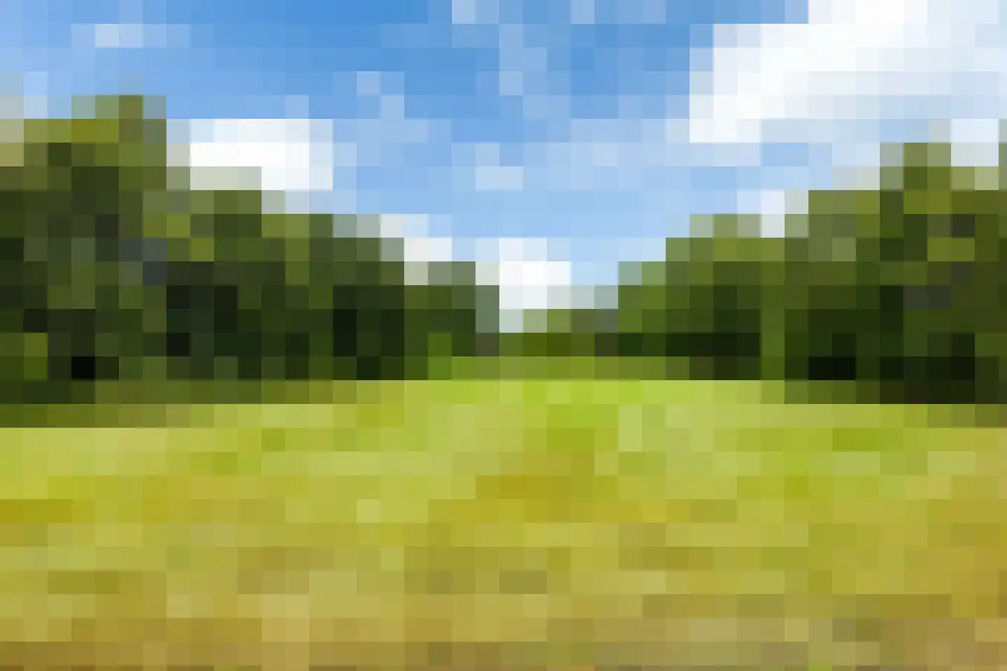 Bovenweg 3 Donkerbroek thumbnail 93
