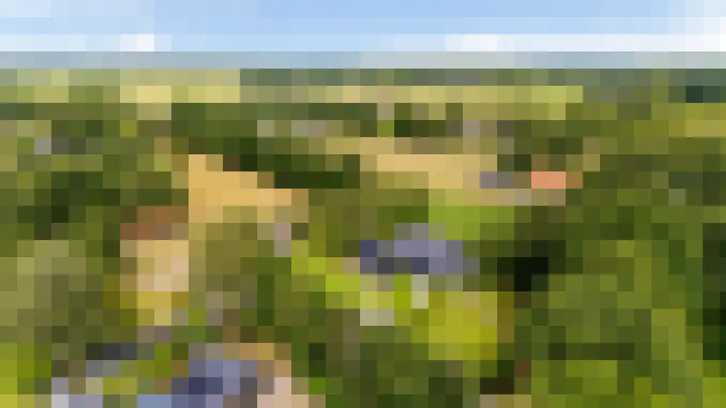 Bovenweg 3 Donkerbroek thumbnail 94