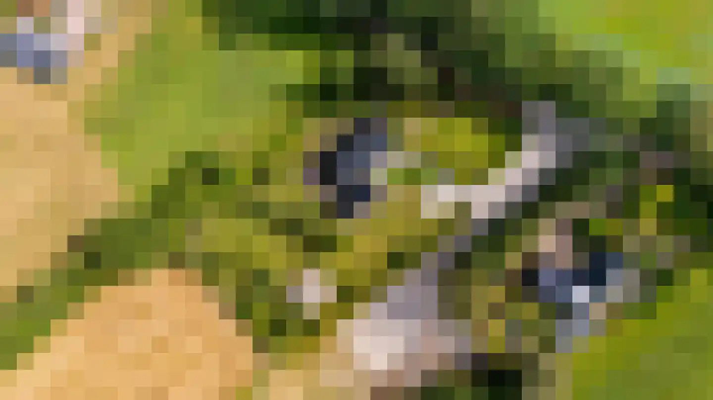 Bovenweg 3 Donkerbroek thumbnail 95