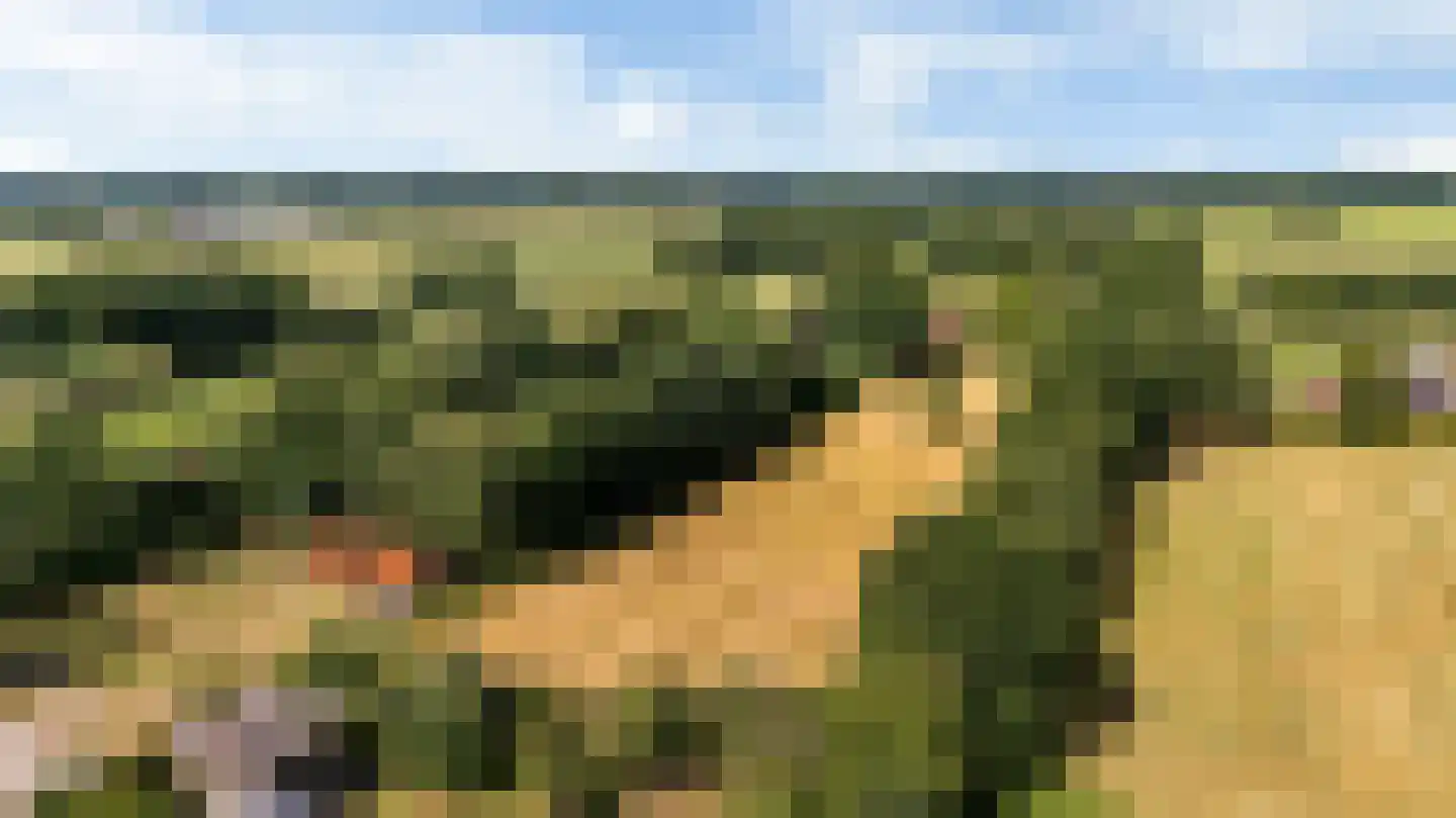 Bovenweg 3 Donkerbroek thumbnail 96