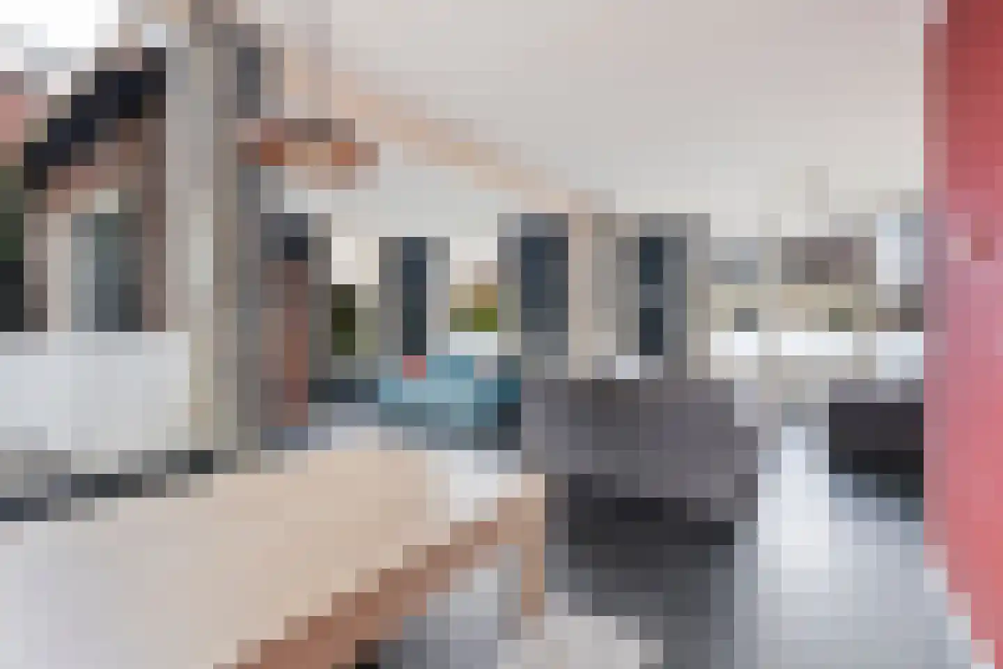 Bovenweg 3 Sint Pancras thumbnail 13