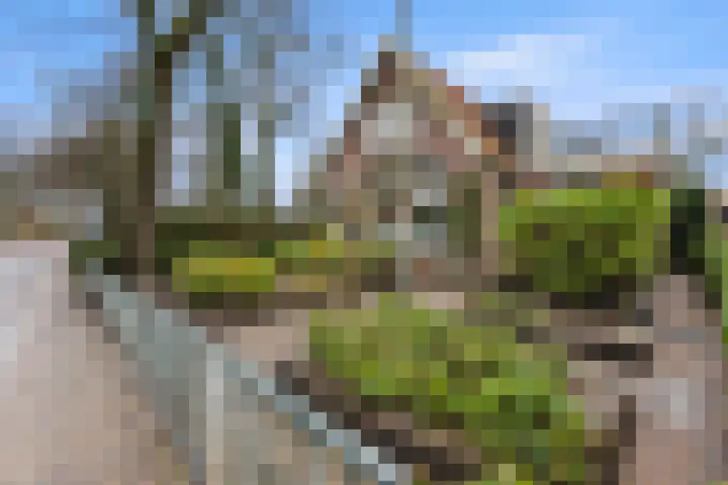 Bovenweg 3 Sint Pancras thumbnail 4