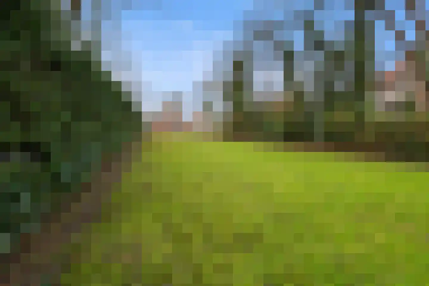 Bovenweg 3 Sint Pancras thumbnail 41