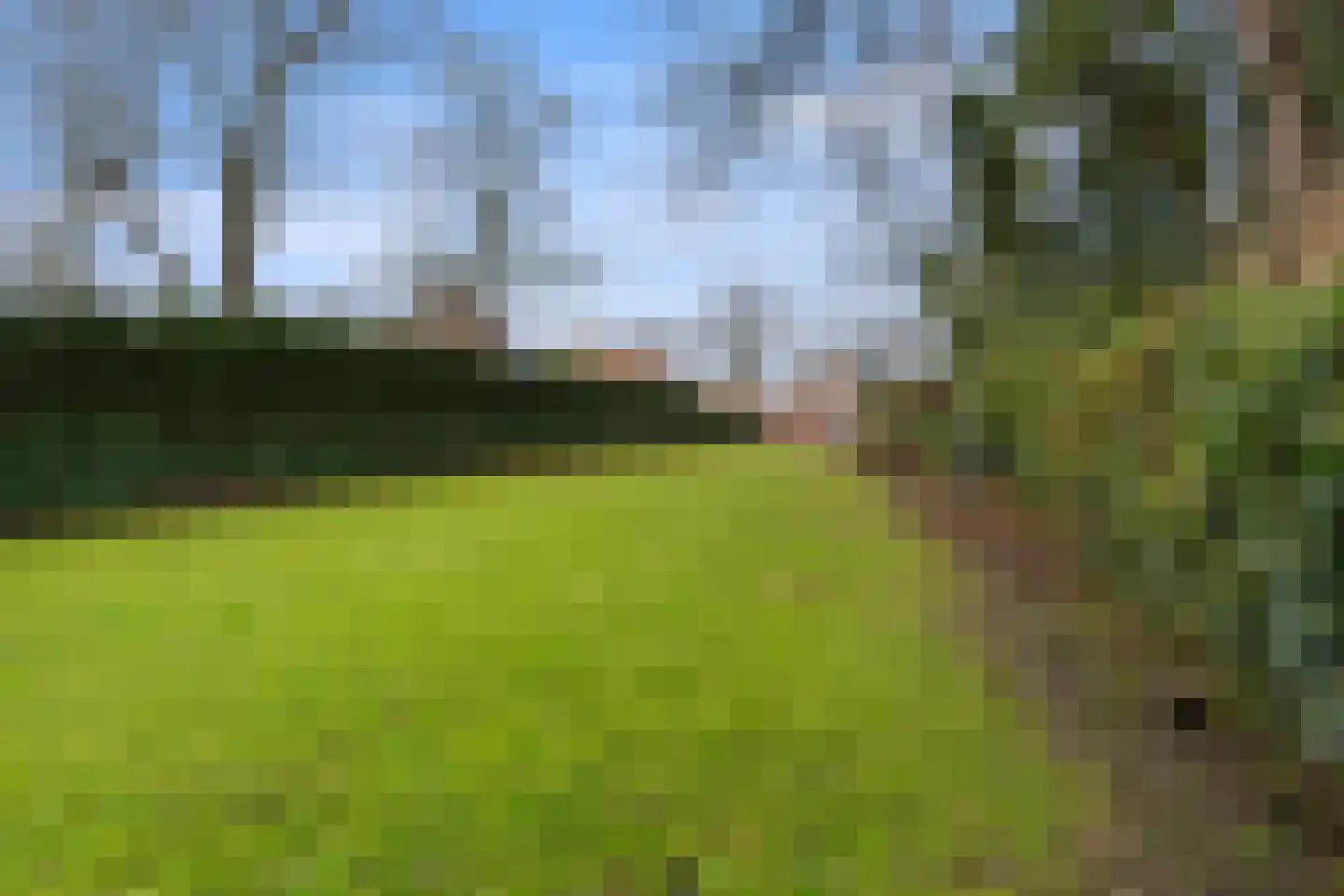 Bovenweg 3 Sint Pancras thumbnail 42