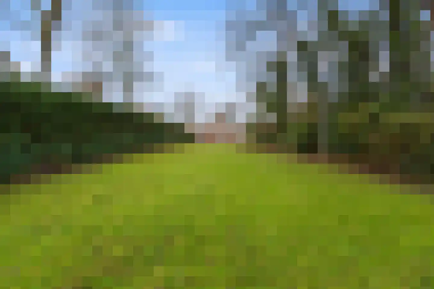 Bovenweg 3 Sint Pancras thumbnail 43