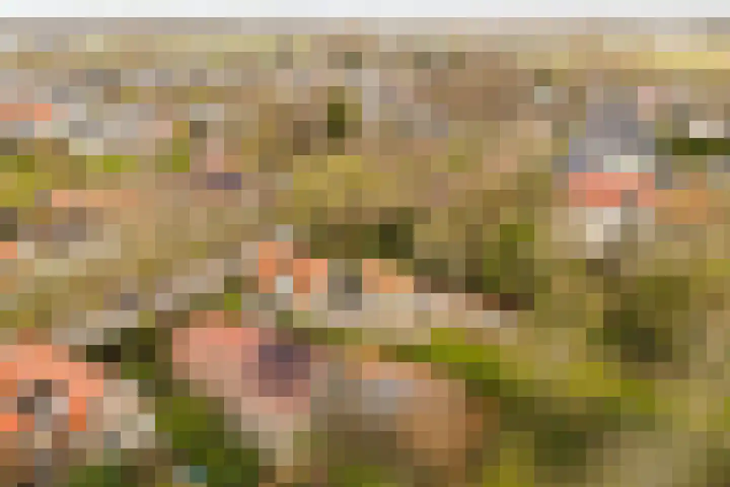 Bovenweg 3 Sint Pancras thumbnail 47