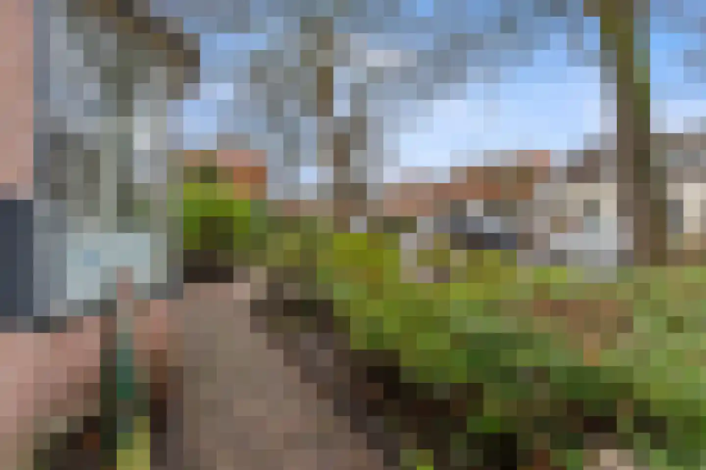 Bovenweg 3 Sint Pancras thumbnail 6