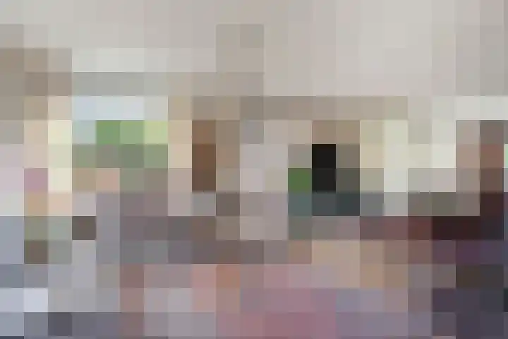 Bovenweg 3 't Harde thumbnail 13