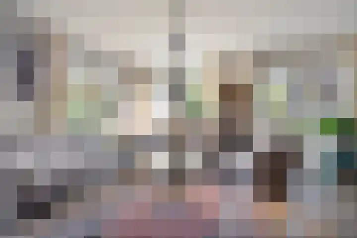 Bovenweg 3 't Harde thumbnail 14