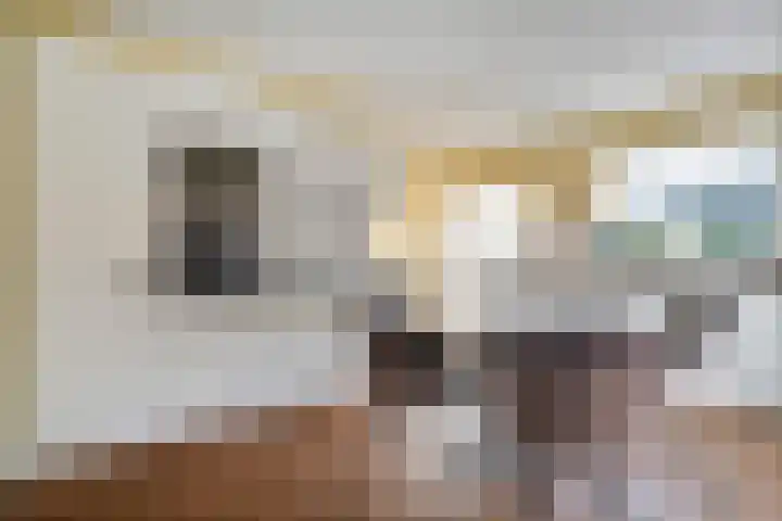 Bovenweg 3 't Harde thumbnail 24