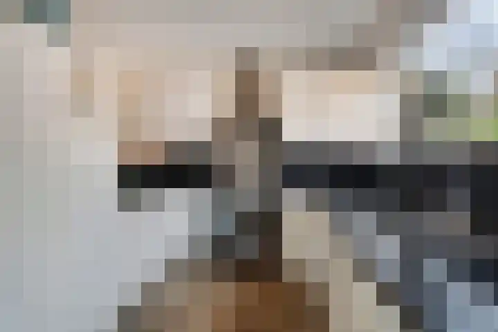Bovenweg 3 't Harde thumbnail 29