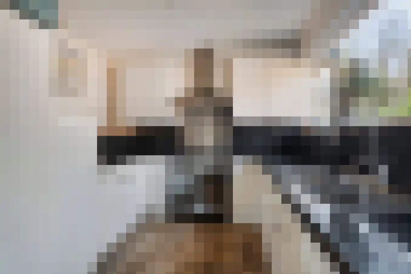 Bovenweg 3 't Harde thumbnail 29