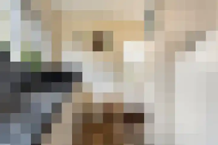 Bovenweg 3 't Harde thumbnail 31