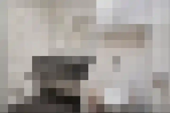 Bovenweg 3 't Harde thumbnail 35