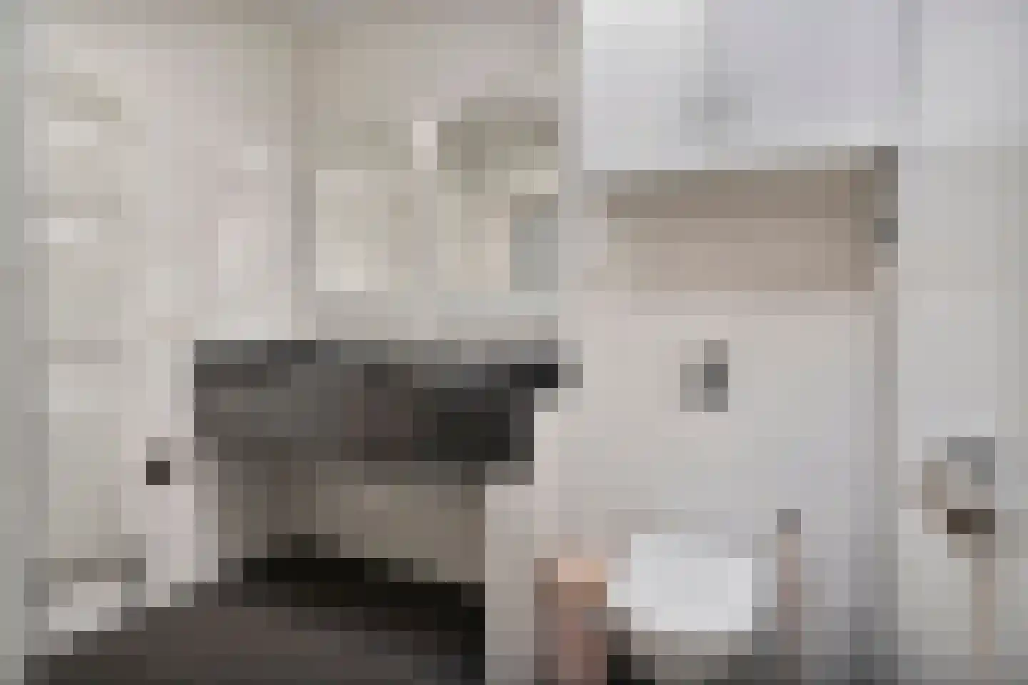 Bovenweg 3 't Harde thumbnail 35