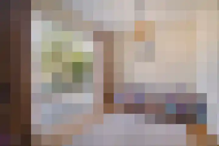 Bovenweg 3 't Harde thumbnail 38