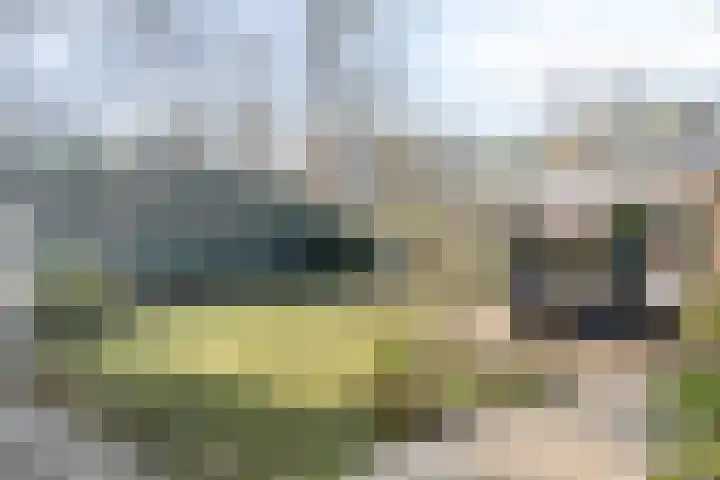 Bovenweg 3 't Harde thumbnail 44