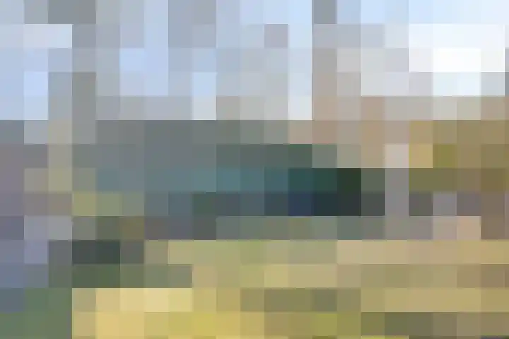 Bovenweg 3 't Harde thumbnail 47