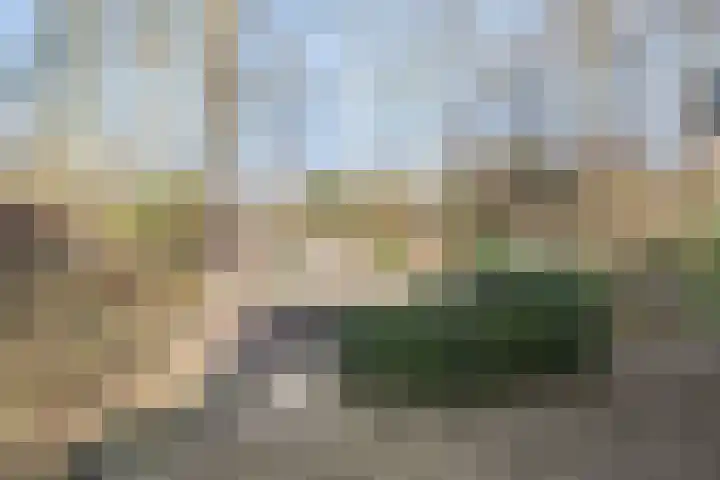 Bovenweg 3 't Harde thumbnail 50