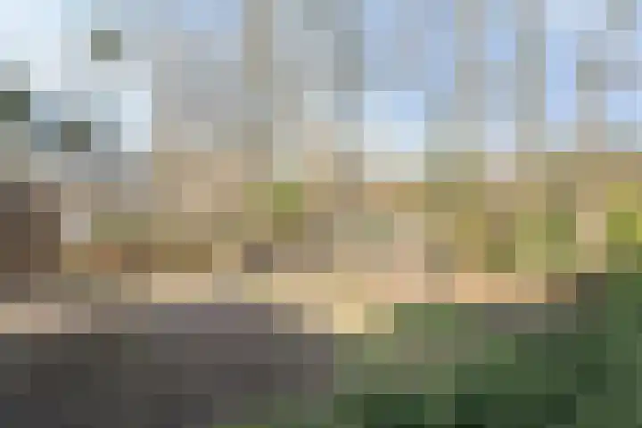 Bovenweg 3 't Harde thumbnail 51
