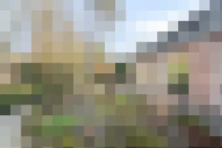 Bovenweg 3 't Harde thumbnail 53