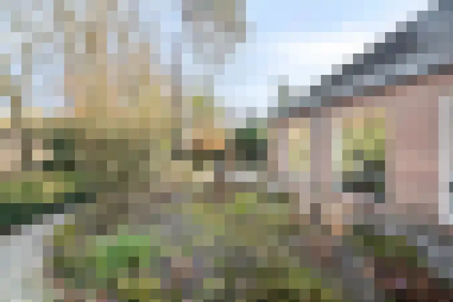 Bovenweg 3 't Harde thumbnail 53
