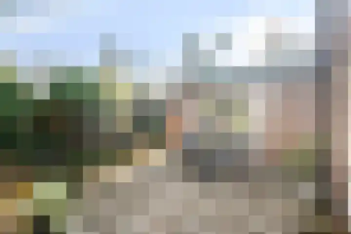 Bovenweg 3 't Harde thumbnail 56