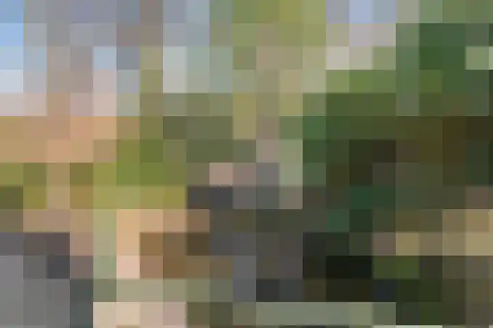 Bovenweg 3 't Harde thumbnail 58