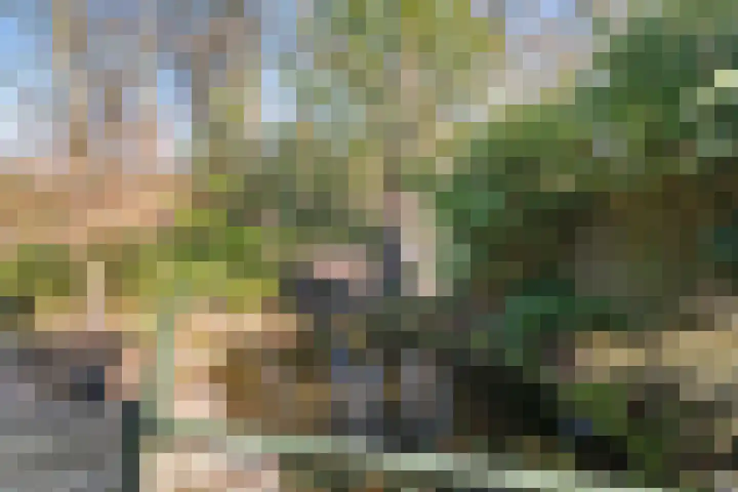 Bovenweg 3 't Harde thumbnail 58