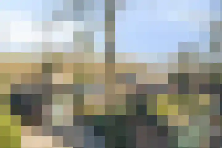 Bovenweg 3 't Harde thumbnail 60
