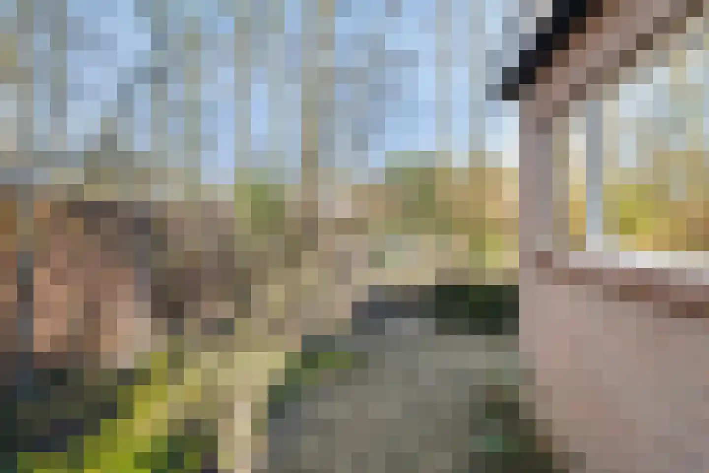 Bovenweg 3 't Harde thumbnail 63