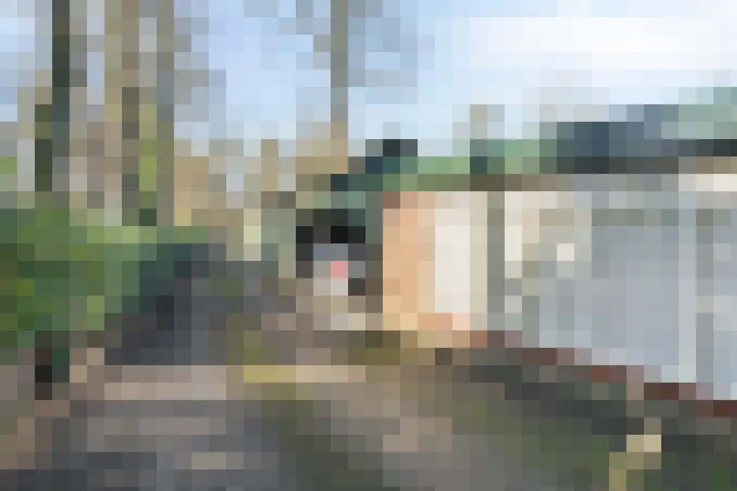 Bovenweg 3 't Harde thumbnail 65