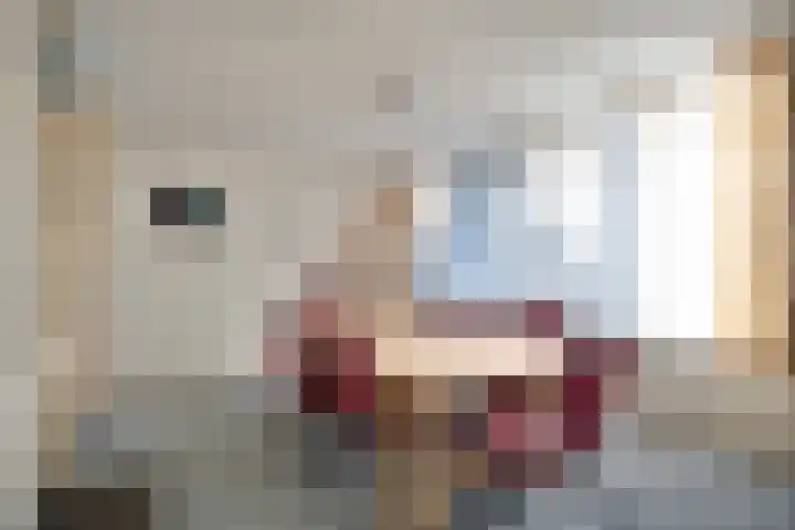Bovenweg 3 't Harde thumbnail 68