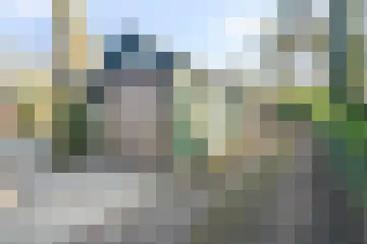 Bovenweg 3 't Harde thumbnail 71