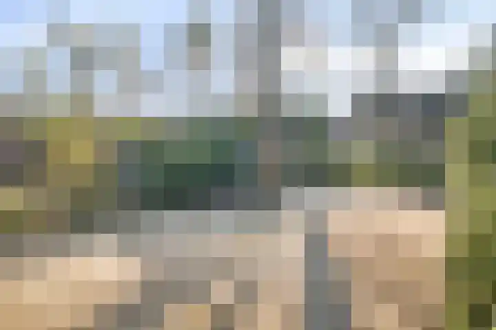 Bovenweg 3 't Harde thumbnail 72