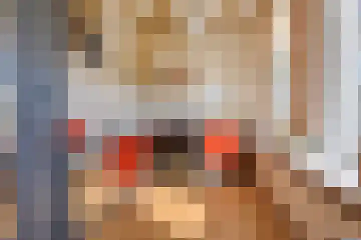 Bovenweg 34 Nijeberkoop thumbnail 10