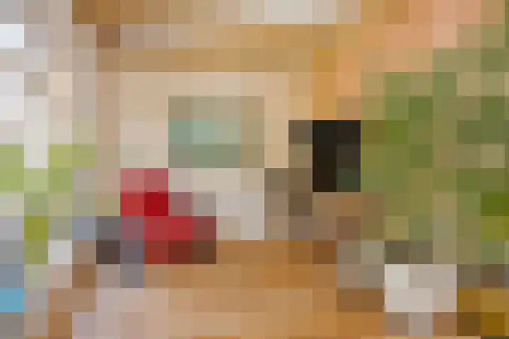 Bovenweg 34 Nijeberkoop thumbnail 17