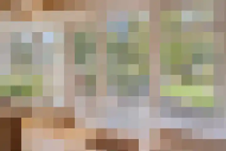 Bovenweg 34 Nijeberkoop thumbnail 18