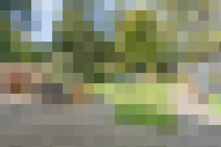 Bovenweg 34 Nijeberkoop thumbnail 32