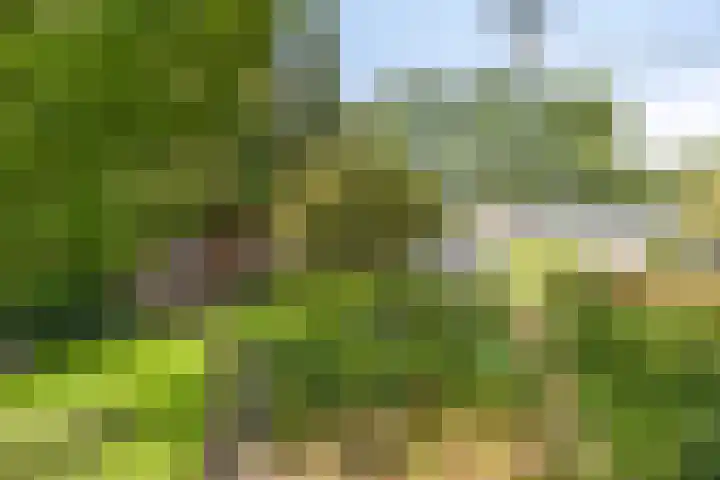 Bovenweg 34 Nijeberkoop thumbnail 33