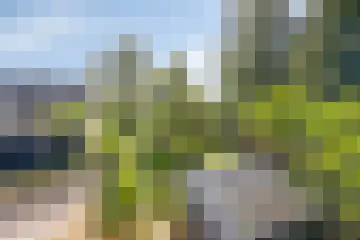 Bovenweg 34 Nijeberkoop thumbnail 34