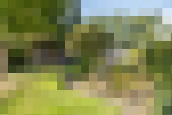 Bovenweg 34 Nijeberkoop thumbnail 35