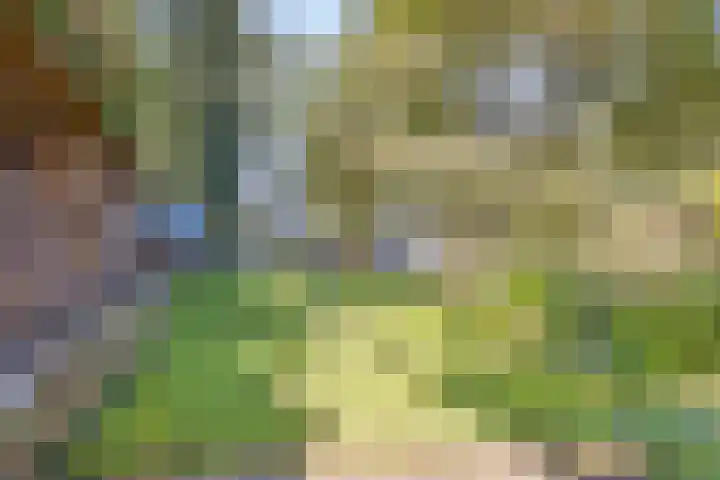 Bovenweg 34 Nijeberkoop thumbnail 36