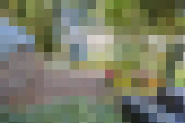 Bovenweg 34 Nijeberkoop thumbnail 37