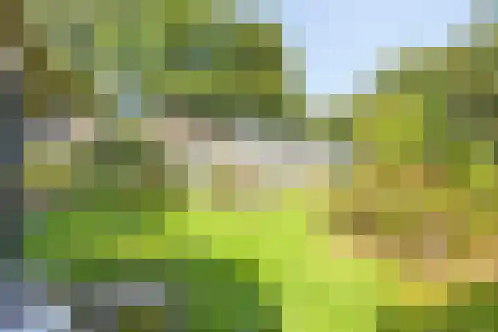 Bovenweg 34 Nijeberkoop thumbnail 39